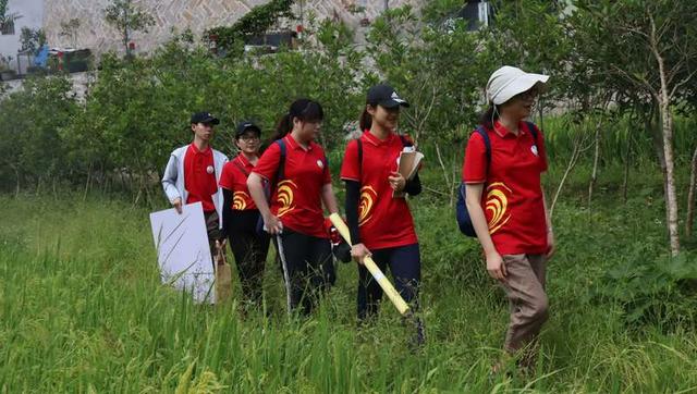 歷時7年試驗,集美大學(xué)【蠔殼惠民】酸化土壤改良慕課即將上線